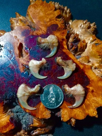 แท้เก่าโบราณสภาพเยี่ยม รูปที่ 2