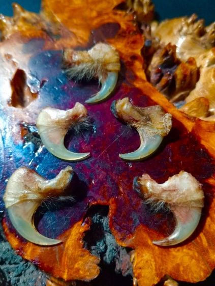 แท้เก่าโบราณสภาพเยี่ยม