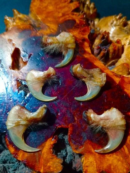 แท้เก่าโบราณสภาพเยี่ยม รูปที่ 4