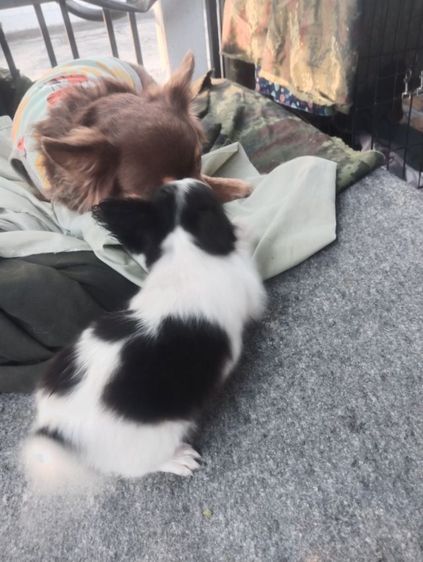 สามหนุ่มสามมุม รูปที่ 8