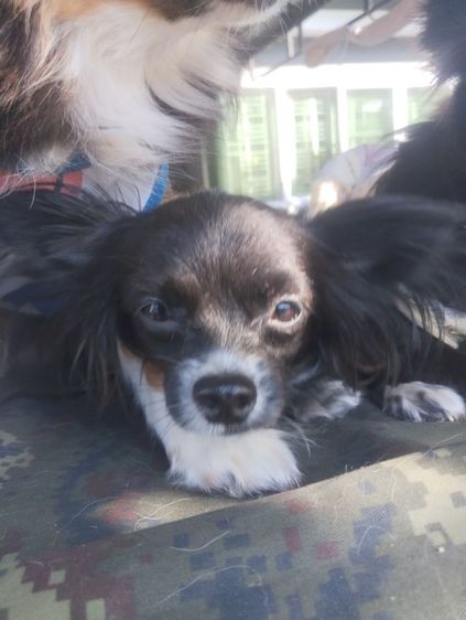 รักส..ชิวา..ชิปะใจเกินร้อย.. รูปที่ 8