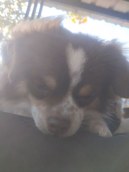 รักส..ชิวา..ชิปะใจเกินร้อย.. รูปที่ 17