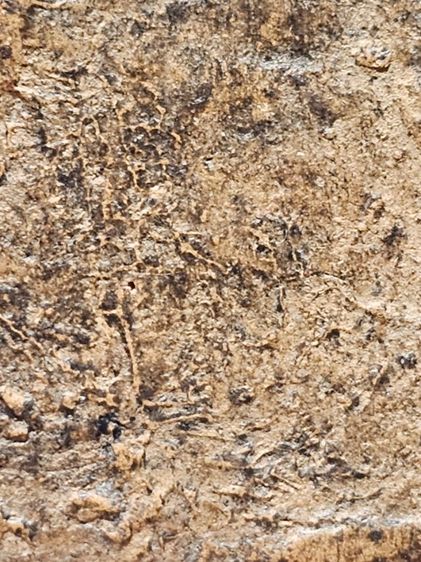 พระชุ้มกรุลานทุ่ง รูปที่ 7