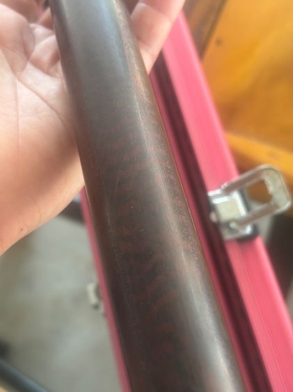 Niche Cues Gravity 12 จำปา รูปที่ 2