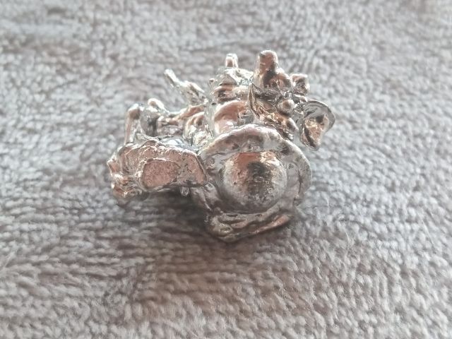 ช่อเงินยวง รูปที่ 8