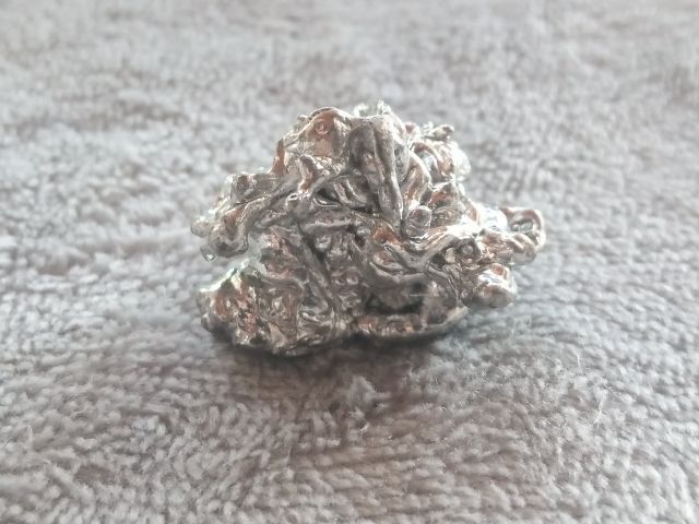 ช่อเงินยวง