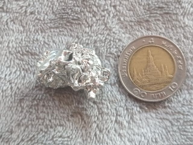 ช่อเงินยวง รูปที่ 12