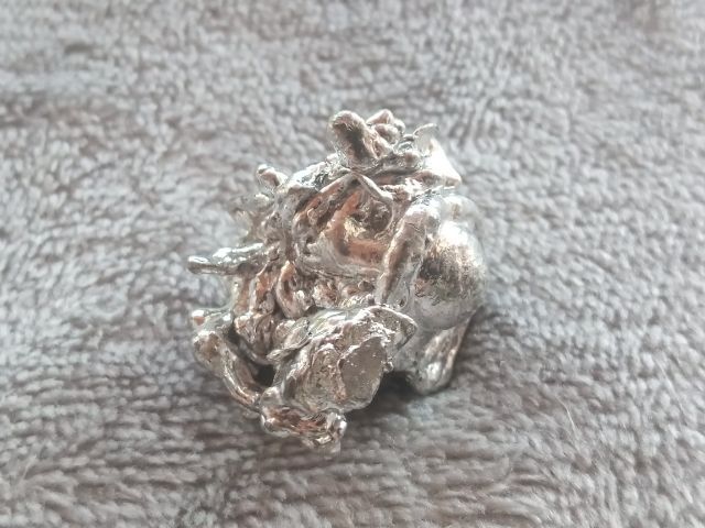 ช่อเงินยวง รูปที่ 9