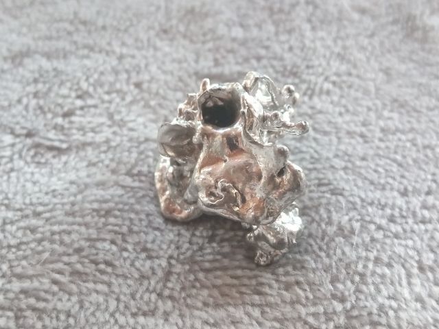 ช่อเงินยวง รูปที่ 4