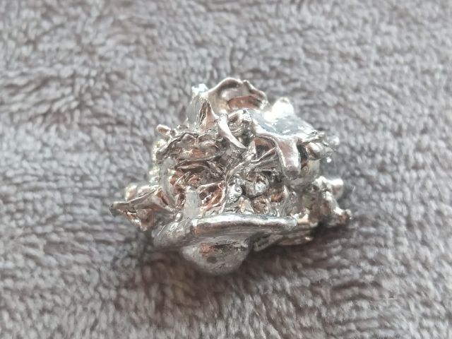 ช่อเงินยวง รูปที่ 10