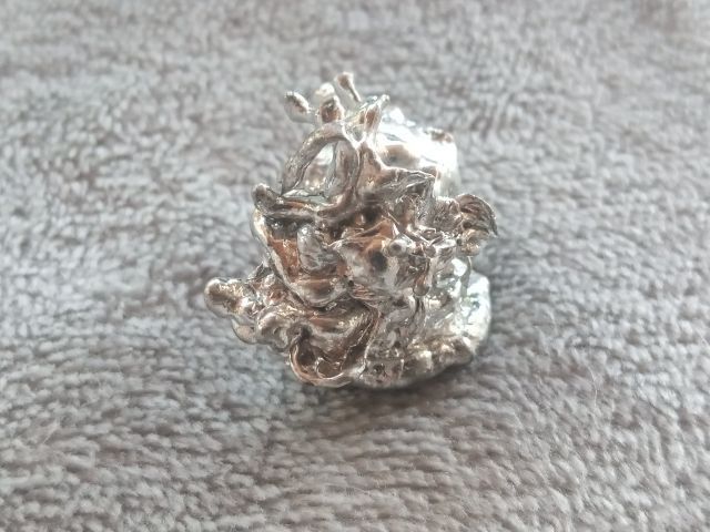 ช่อเงินยวง รูปที่ 7