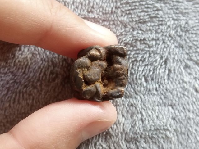 อิ่น รูปที่ 12