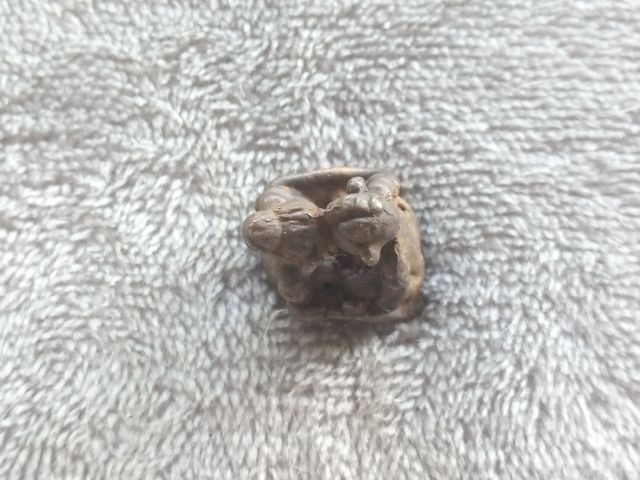 อิ่น รูปที่ 11