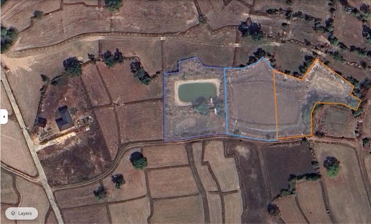 …ที่สวนและนา 4 ไร่(มีบ่อปลามีน้ำทั้งปี)… รูปที่ 2