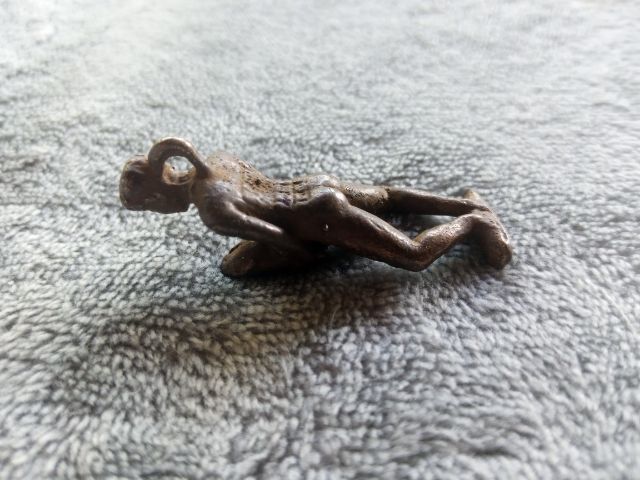 งั่ง (ไอ้งั่ง) รูปที่ 9