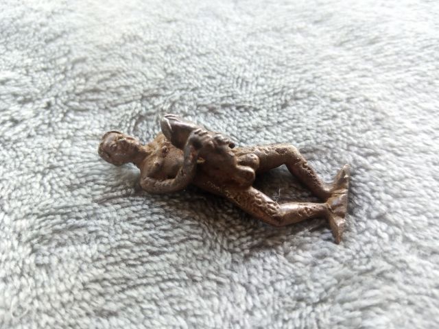 งั่ง (ไอ้งั่ง) รูปที่ 3