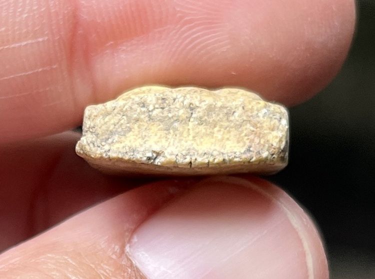 หลวงปู่เผือก รูปที่ 4