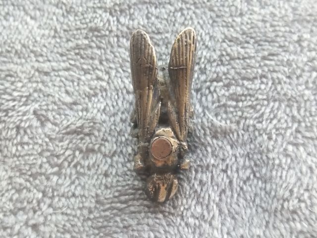 แมลงภู่คำ รูปที่ 7