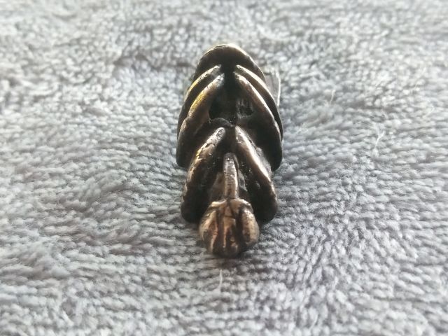 แมลงภู่คำ รูปที่ 12