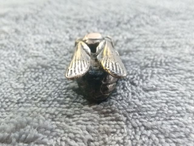 แมลงภู่คำ รูปที่ 5