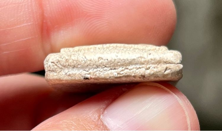 พระสมเด็จเกศไชโย รูปที่ 4