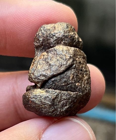 พระปิดตาเนื้อว่าน รูปที่ 5