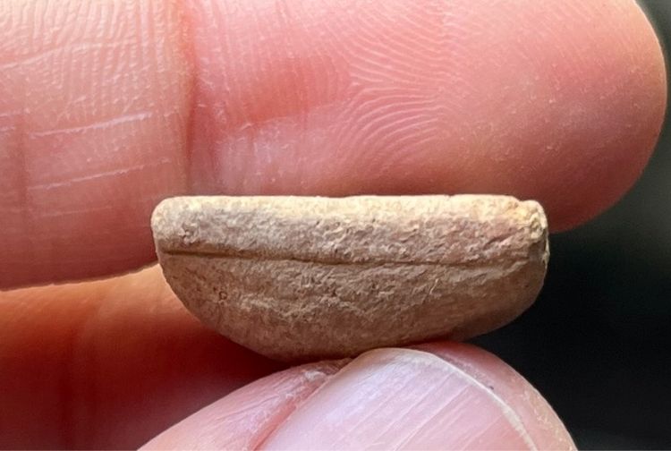 หลวงปู่บุญ รูปที่ 4