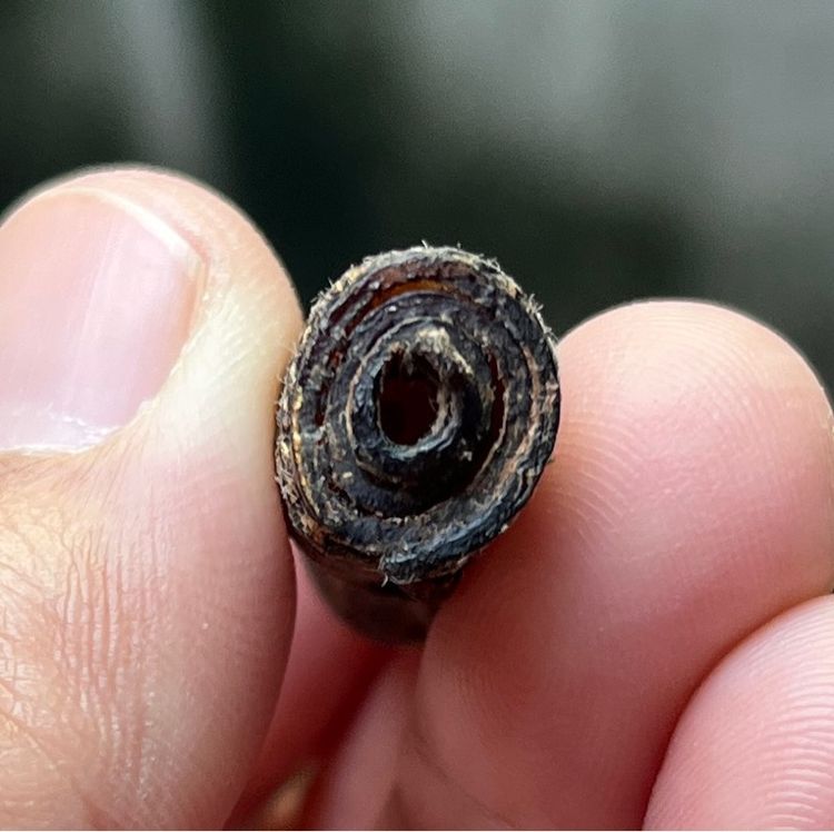 ตะกรุดเก่าๆ รูปที่ 5