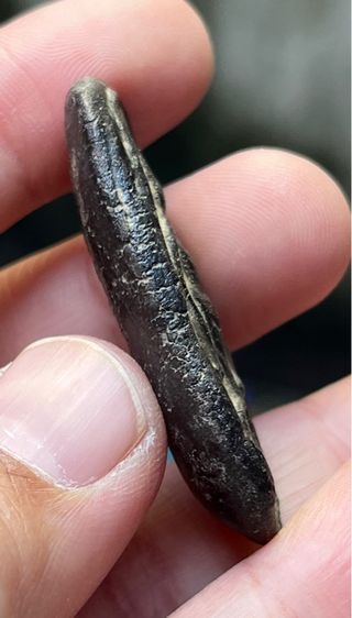 พระลีลา รูปที่ 3