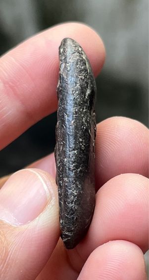 พระลีลา รูปที่ 4