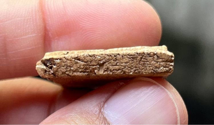 พระสมเด็จ รูปที่ 4