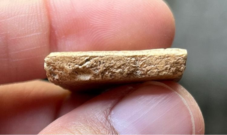 พระสมเด็จ รูปที่ 4