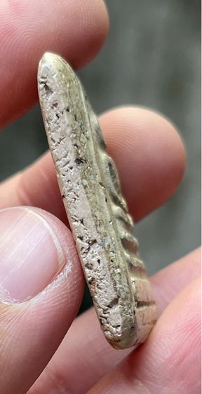 พระสมเด็จปกโพธิ์ รูปที่ 5