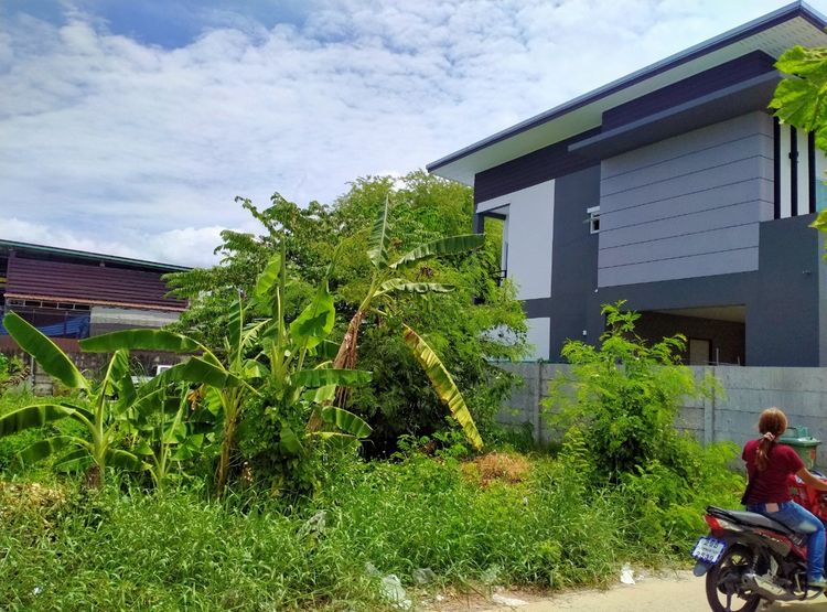 ที่ดินเปล่า 44 ตารางวา  อยู่สะแกงาม 14