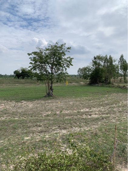 ใช่ ที่ดินราคาจับต้องได้แบ่งหรือยกแปลงสอบถามได้ครับ รูปที่ 3