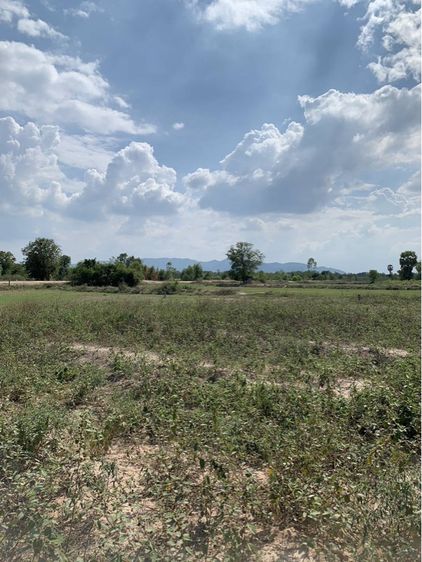 ที่ดินราคาจับต้องได้แบ่งหรือยกแปลงสอบถามได้ครับ