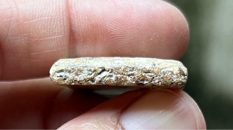 พระสมเด็จ รูปที่ 4