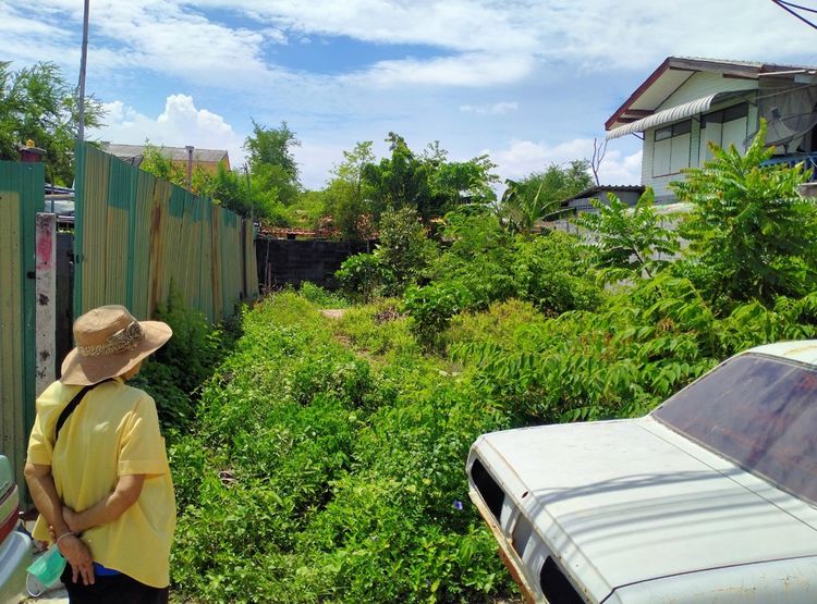 ที่ดินเปล่า แสมดำ รูปที่ 2