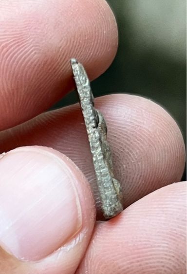 หลวงปู่ศุข รูปที่ 5