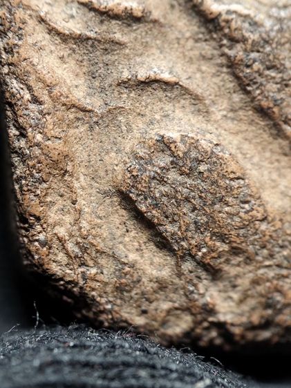 หลวงพ่อปานทรงครุฑครับ รูปที่ 16