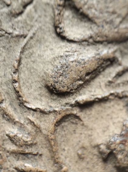 หลวงพ่อปานทรงครุฑครับ รูปที่ 11