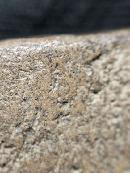 หลวงพ่อปานทรงครุฑครับ รูปที่ 17