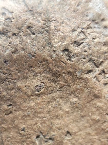 พระขุนแผนสุพรรณบุรีเนื้อดินครับ รูปที่ 12