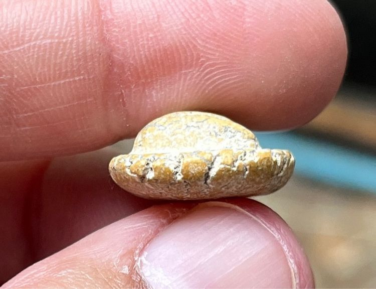 พระปิดตาวัดพลับ รูปที่ 4