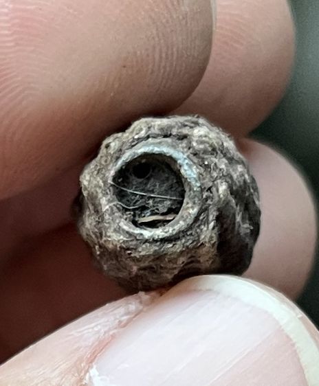 ตะกรุดหลวงปู่ใจ รูปที่ 3