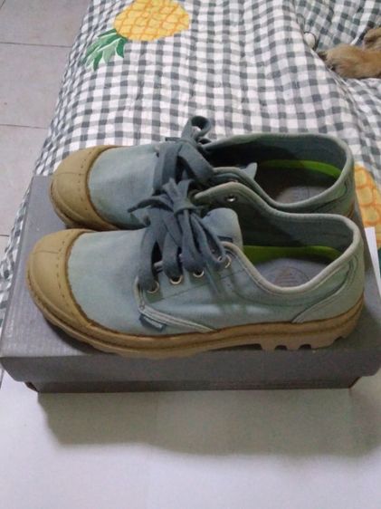 รองเท่าPALADIUMไชค์36พร้อมกล่องใส่แค่ครั้งเดียว500บาทพร้อมส่ง รูปที่ 3