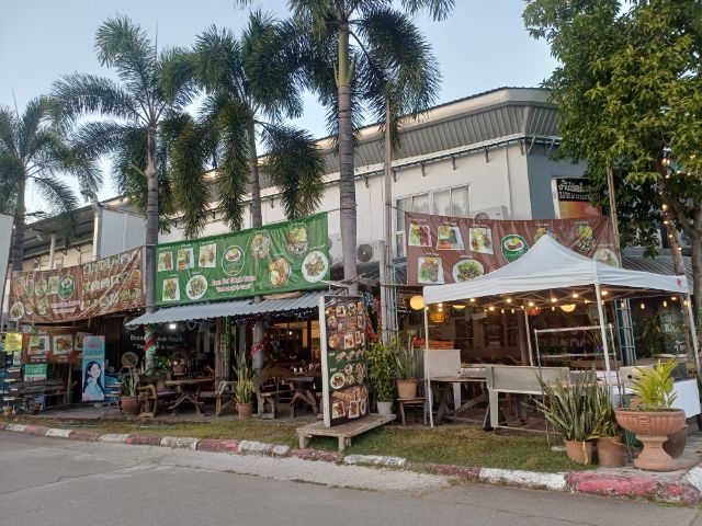 ชุดใหญ่พร้อมถุง Katana Japan ไม้ 4 อันพร้อม Cover เหล็ก 8 อัน รวม 12 อัน นักเรียนกลับประเทศ ฝากให้ช่วยขายครับ สภาพใหม่มาก ใช้น้อย ครับ รูปที่ 11