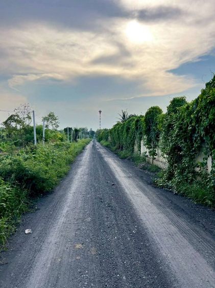 ไม่ใช่ ที่ดินคลอง9 (ซ.พนารัตน์)
รังสิต ปทุมธานี ไร่ละ 1.29 ล้านบาท (เข้าจากถนนรังสิต นครนายก 2.8 กม.) รูปที่ 3