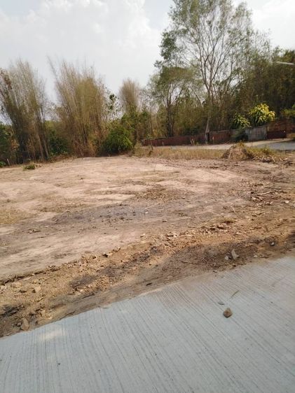 ขายที่ดิน จำนวน 6 แปลง ติดถนน ต.หลวงเหนือ อ.งาว จ.ลำปาง ทำเลดีที่สวย เหมาะแก่อยู่อาศัย