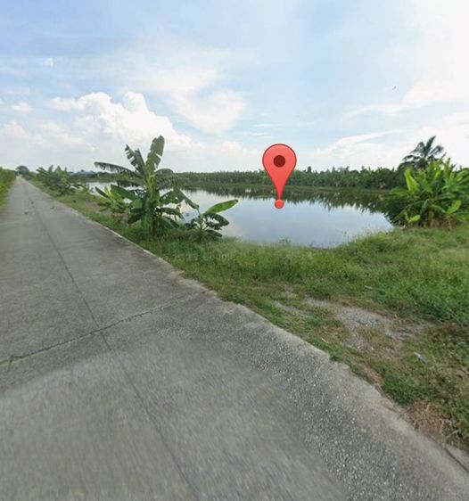 ขายที่ดิน 1 ไร่ ซอยวัดบัวโรย สมุทรปราการ รูปที่ 4